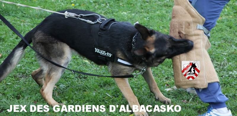Jex Des Gardiens D'albacasko
